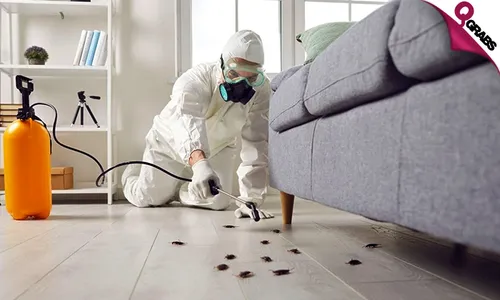 Interior OR Exterior Pest Control Services!